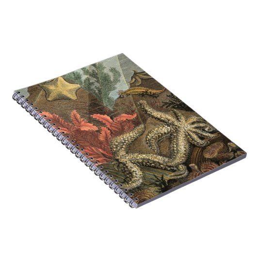 Carnet Sous la mer (Côté Droit)