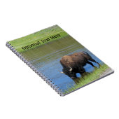 Carnet Souvenir de Buffalo de Yellowstone (Côté Droit)