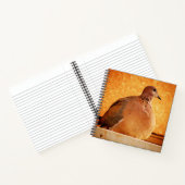 Carnet Souvenirs oubliés (Intérieur)