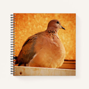 Carnet Souvenirs oubliés
