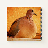 Carnet Souvenirs oubliés (Dos)