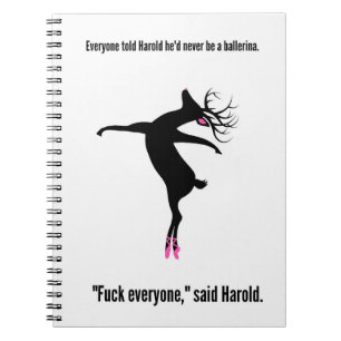 Carnet Soyez toujours Harold