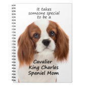 Carnet Spaniel (Devant)