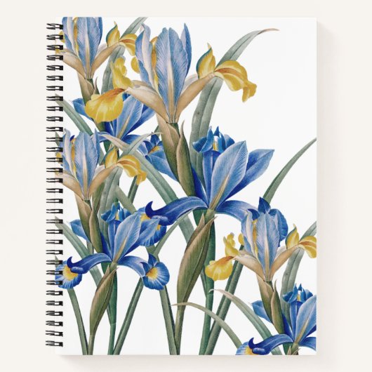 Carnet Spanish iris by Pierre-Joseph Redouté (Devant)