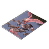 Carnet Spatule rosée avec des chevaliers semipalmés en ea (Côté gauche)
