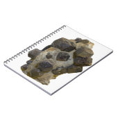 Carnet Spessartite dans Matrix (Côté gauche)