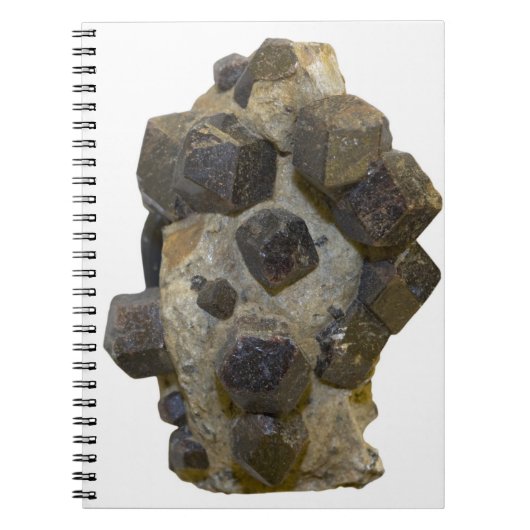 Carnet Spessartite dans Matrix (Devant)