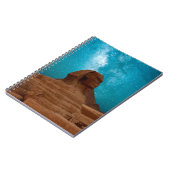 Carnet Sphinx : Égypte (Côté gauche)