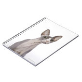 Carnet Sphynx Cat with surprised expression (Côté gauche)