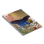 Carnet Spicebush Swallower (Côté Droit)