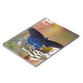 Carnet Spicebush Swallower (Côté gauche)