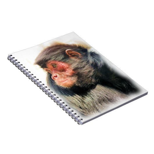 CARNET SPIDER MONKEY (Côté Droit)