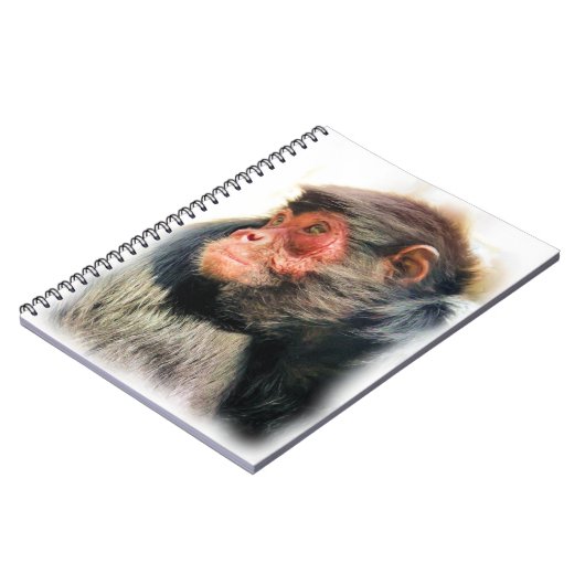 CARNET SPIDER MONKEY (Côté gauche)