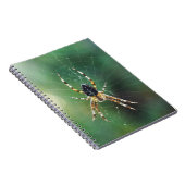 Carnet Spider Spider (80 Pages B&W) (Côté Droit)