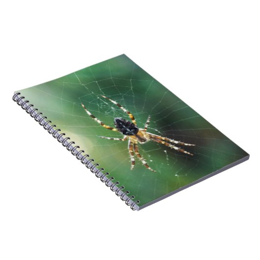 Carnet Spider Spider (80 Pages B&W) (Côté Droit)