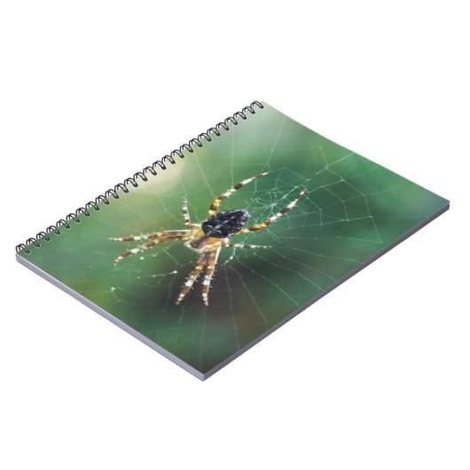 Carnet Spider Spider (80 Pages B&W) (Côté gauche)