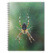 Carnet Spider Spider (80 Pages B&W) (Devant)