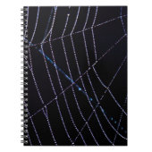 Carnet Spider Web (Devant)