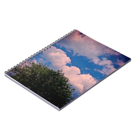 Carnet spiral (Côté gauche)