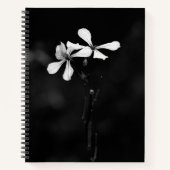 Carnet spiral (Devant)