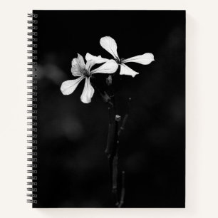 Carnet spiral