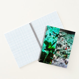 Carnet spiral