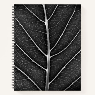 Carnet spiral