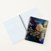 Carnet spiral (Intérieur)