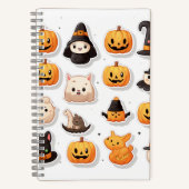 Carnet spiral (Recto)