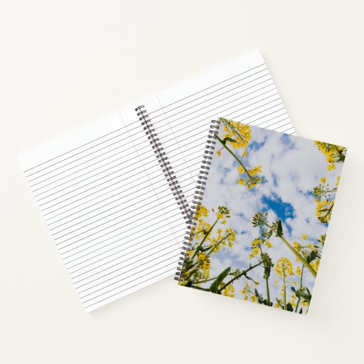 Carnet spiral (Intérieur)