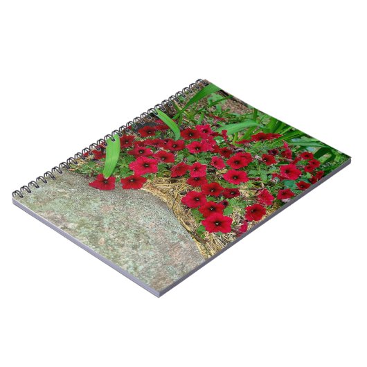 Carnet spiral (Côté gauche)