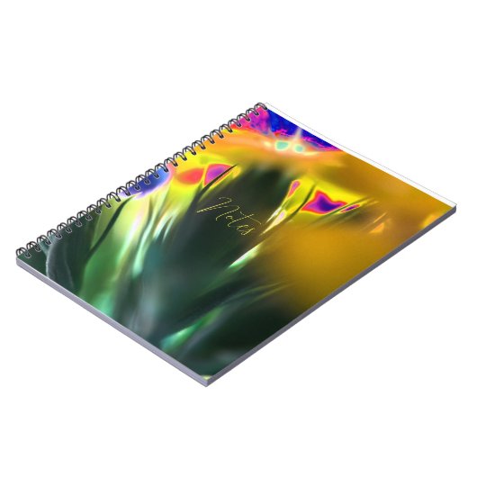 Carnet spiral (Côté gauche)