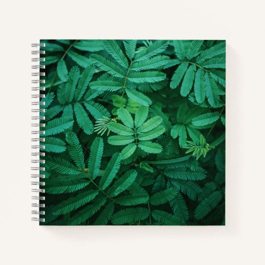 Carnet spiral (Devant)