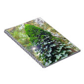 Carnet spiral (Côté Droit)