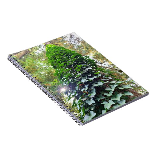 Carnet spiral (Côté Droit)