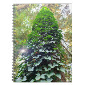 Carnet spiral (Devant)