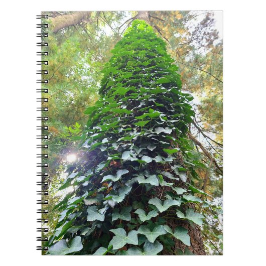 Carnet spiral (Devant)