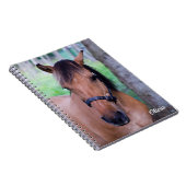 Carnet spiral à cheval (Côté Droit)