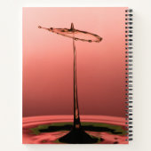 Carnet Spiral À Dérouler (Dos)