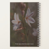 Carnet spiral à fleurs jumelles (Verso)