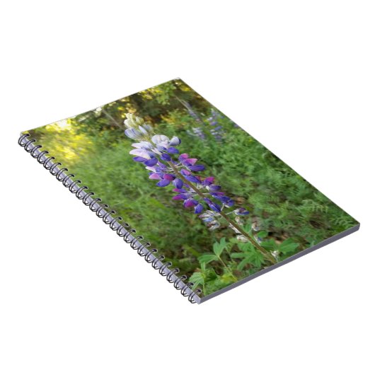 Carnet Spiral à floraison violette vive (Côté Droit)
