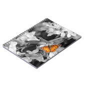 Carnet Spiral à papillon américain (Côté gauche)