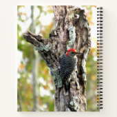 Carnet spiral à ventre rouge (Dos)