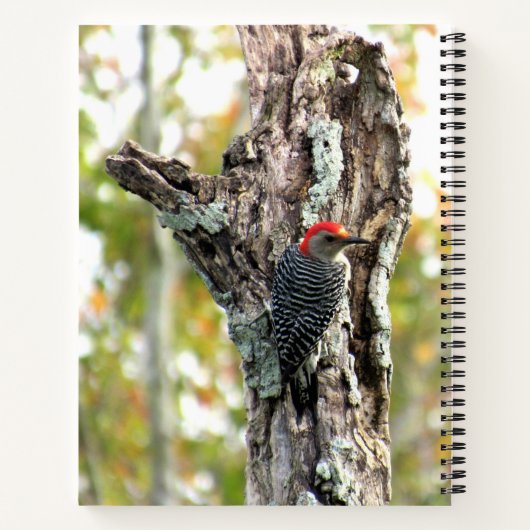 Carnet spiral à ventre rouge (Dos)