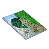 Carnet Spiral Arbre Argent (Côté Droit)