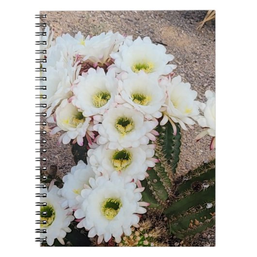 Carnet spiral argentin de fleur de cactus (Devant)