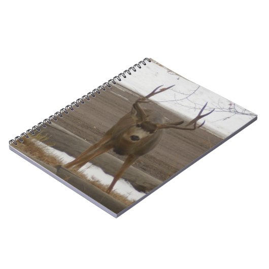 Carnet Spiral Buck (Côté gauche)