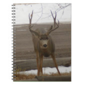 Carnet Spiral Buck (Devant)