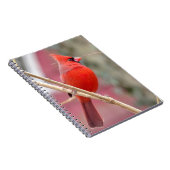 Carnet spiral cardinal rouge (Côté Droit)