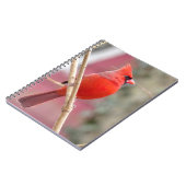 Carnet spiral cardinal rouge (Côté gauche)